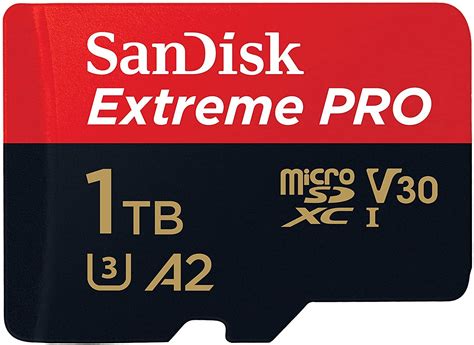 1TB Micro Sd Card for GO Recommendation .